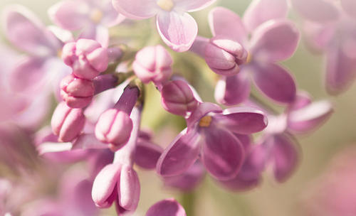 冷门而且卖得好的欧洲护肤品 (国外大牌小众护肤品有哪些)