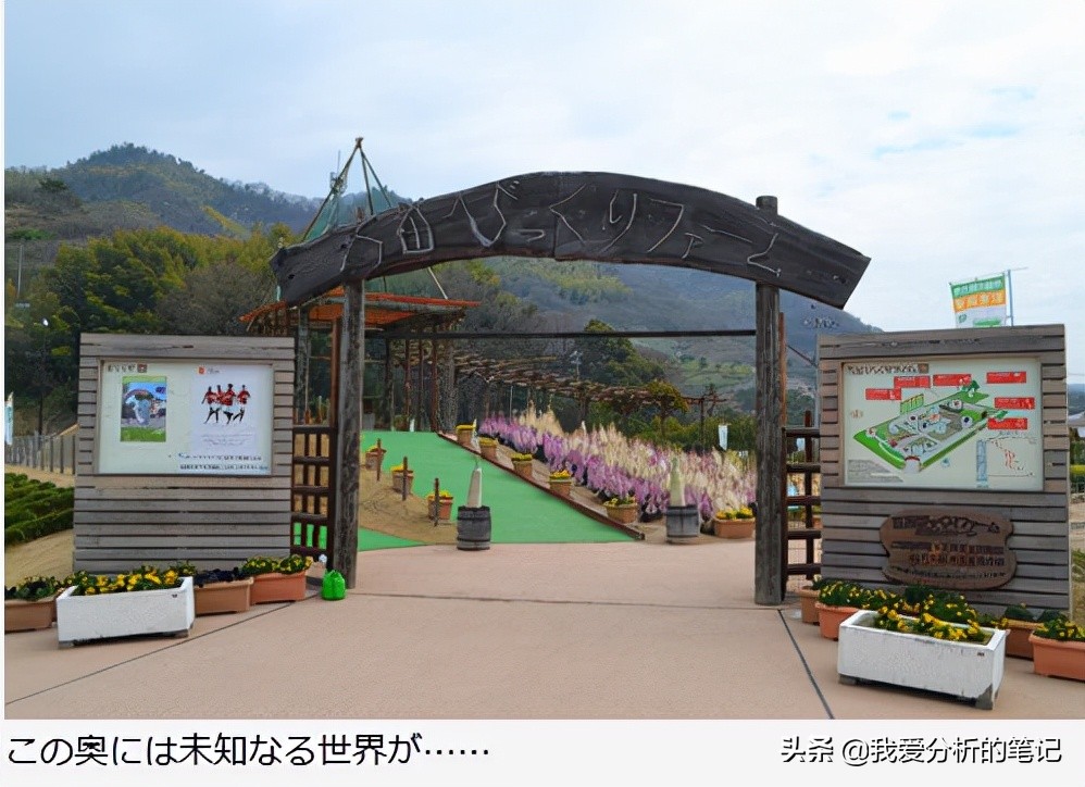 酵素行业发展前景及趋势分析,酵素产品价格现状与预测