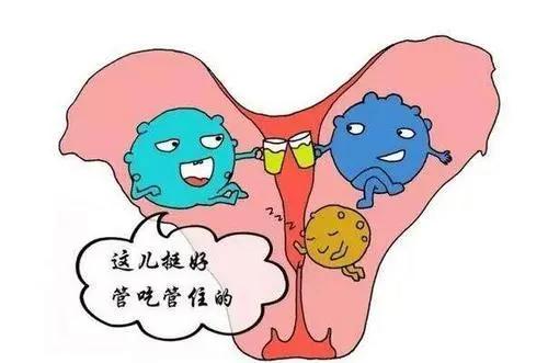 消除子宫肌瘤的特效药,消除子宫肌瘤最好中药