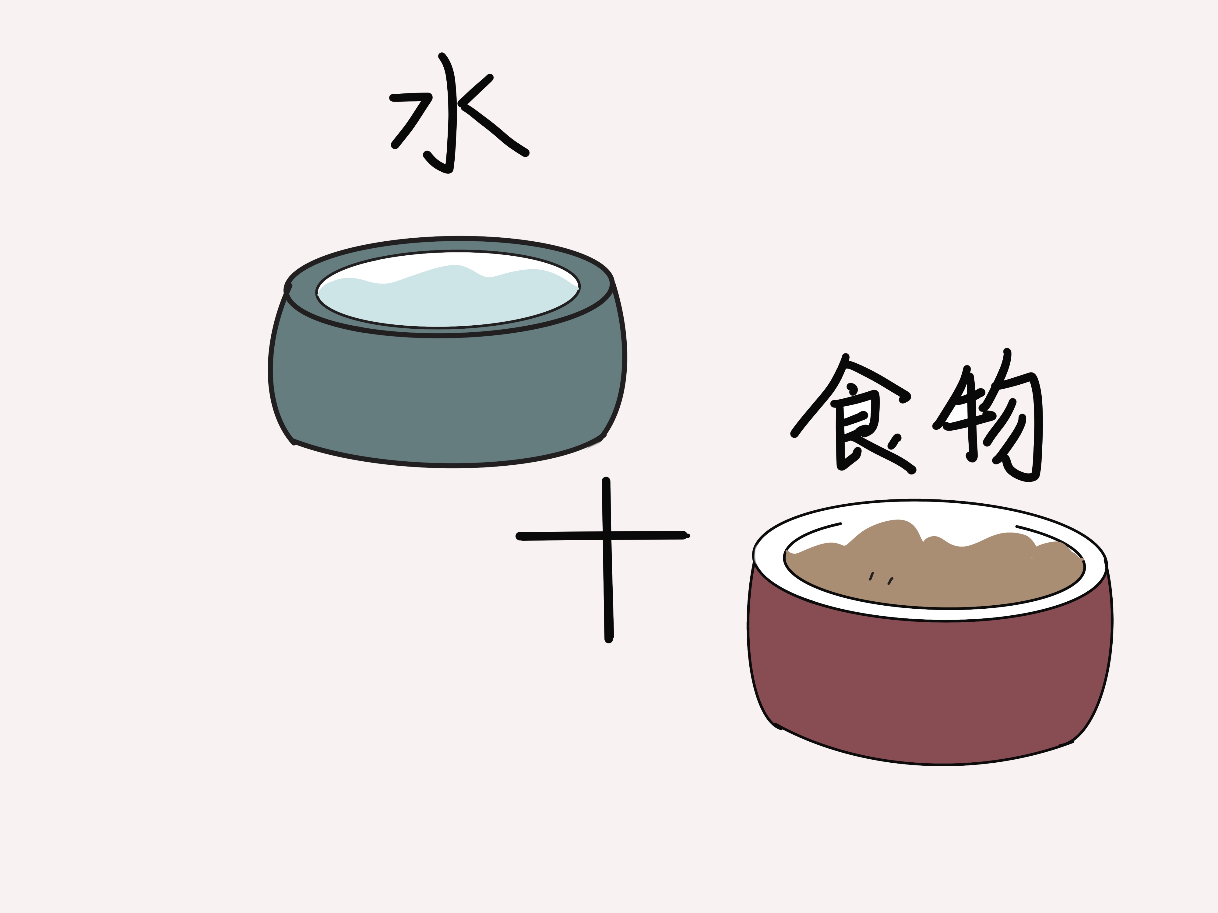 家里养猫怎么缓解猫的害怕,家猫特别害怕流浪猫怎么办