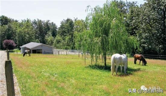 你不知道车的冷知识,你不知道体育冷知识