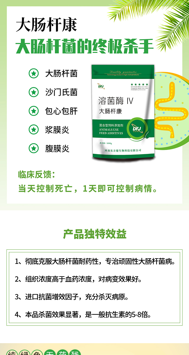 治疗禽类大肠杆菌病的最佳药物,大肠杆菌治鸡病