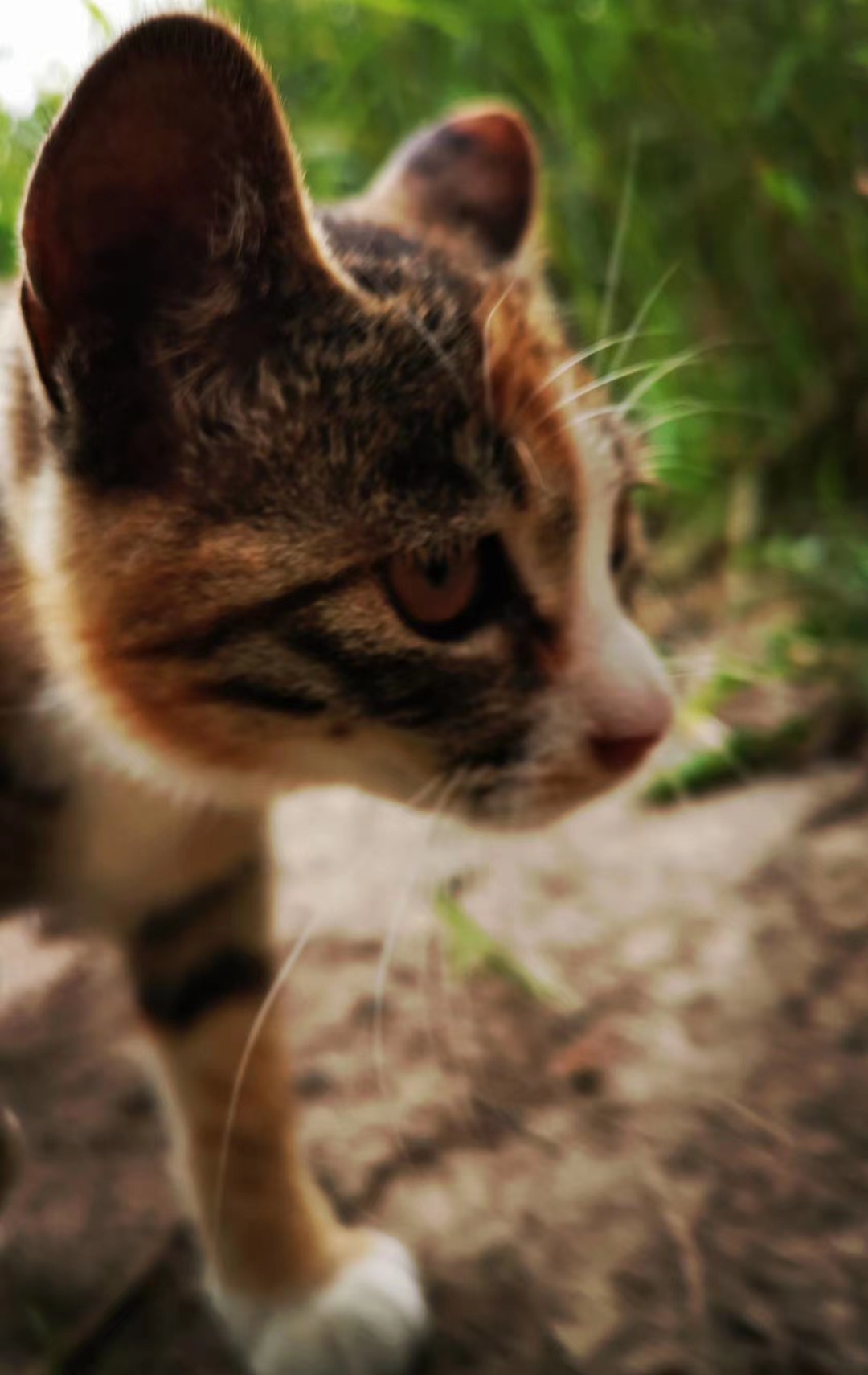 沈阳建筑大学|东北的一所另类大学