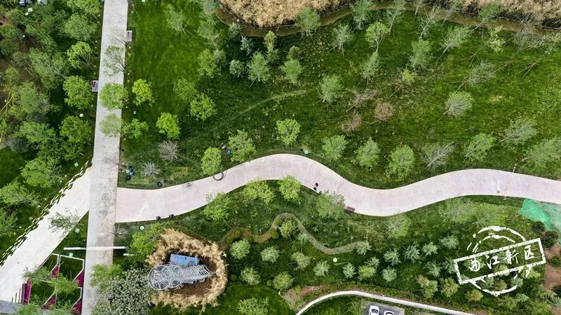 这个周日，新青年就要来曲*青江**年森林公园