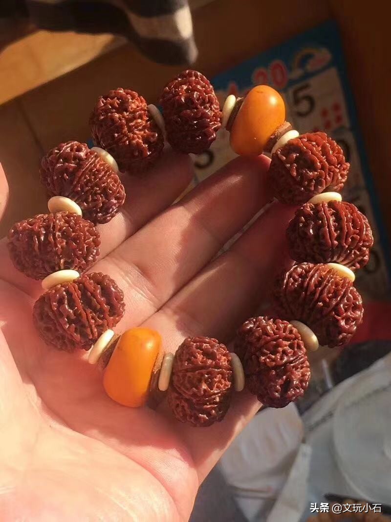 金刚菩提入门知识，新手必备，掌握了三言两语就能让别人刮目！