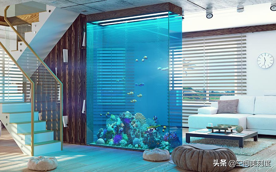 易养的热带观赏鱼有哪些,好养耐活的热带观赏鱼都有哪些