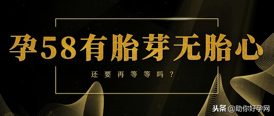 孕58天胎芽0.4有胎心正常吗,56天没有胎心胎芽就没希望了吗