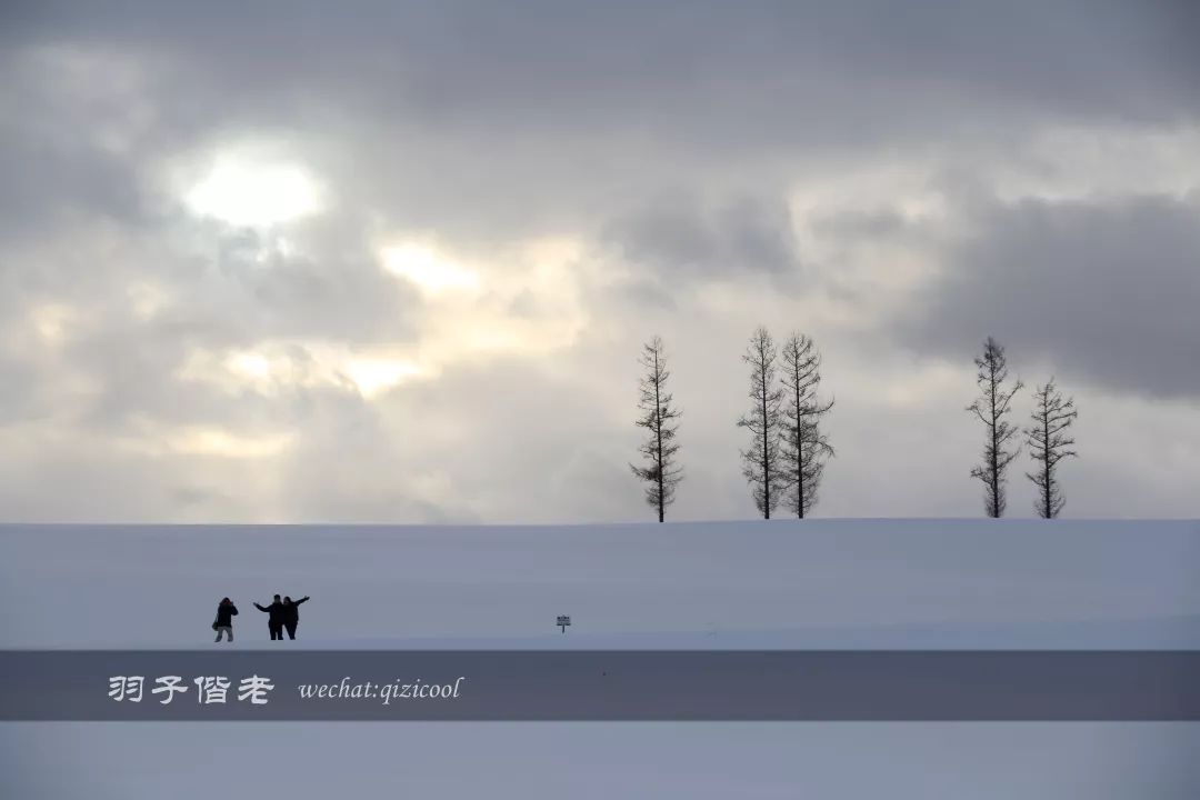 老实说,这一趟北海道就是为了拍好看的照片去的
