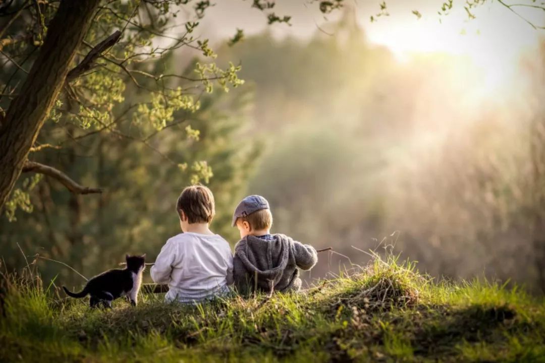 孩子爱看动画片和小游戏,小孩子爱看的动画片和游戏