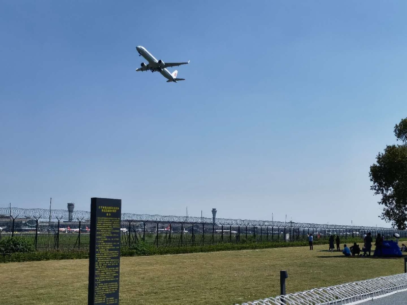 双流空港花田看飞机降落最佳地点,双流空港花田最佳位置看飞机