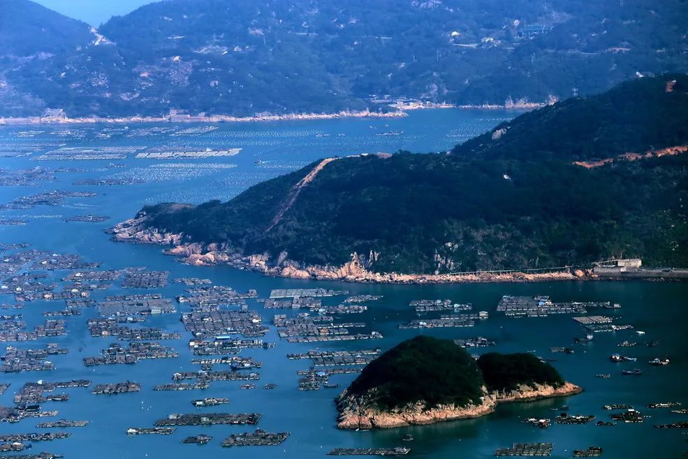 鱼丸小吃一般用什么鱼肉,鱼丸里面真的是有香精吗