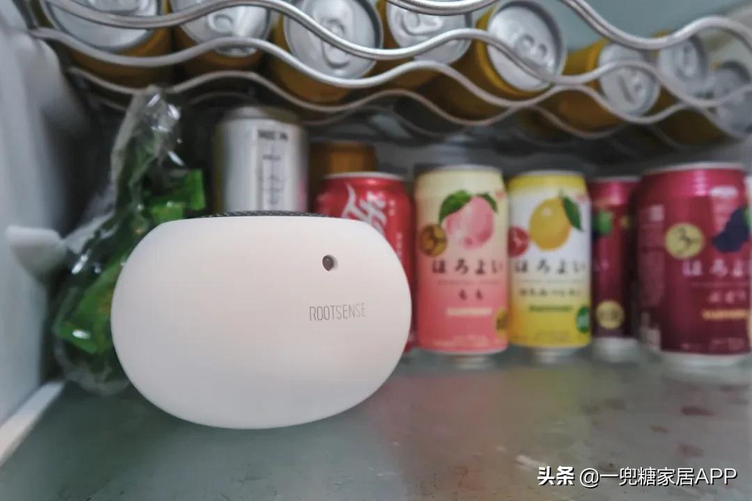 被冰箱PUA的年轻人：“妈！救救我吧！”