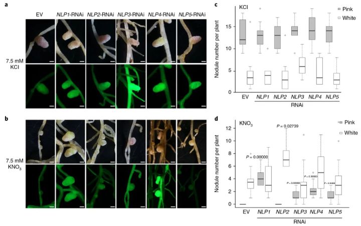 辨清敌我，统一战线——确定基因上下游关系