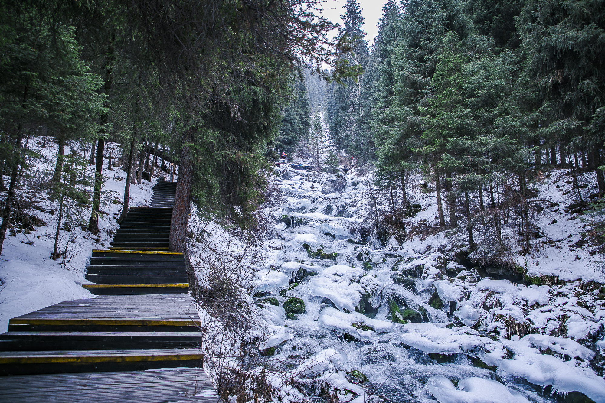 大美新疆博格达峰美景,天山天池博格达峰全景图片