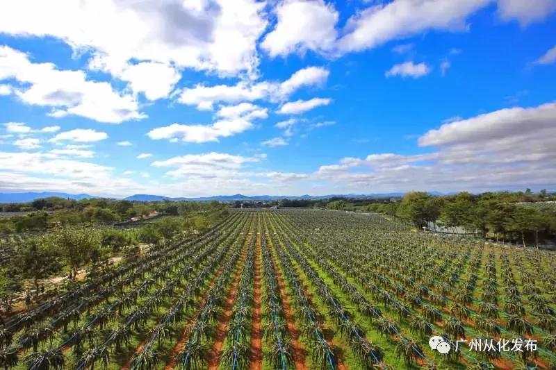 从化一日游最佳去处民宿,从化旅游线路攻略大全最新