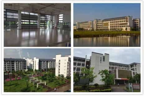 广东职业技术学院高职高考多少分,高职高考广东职业技术学院专业