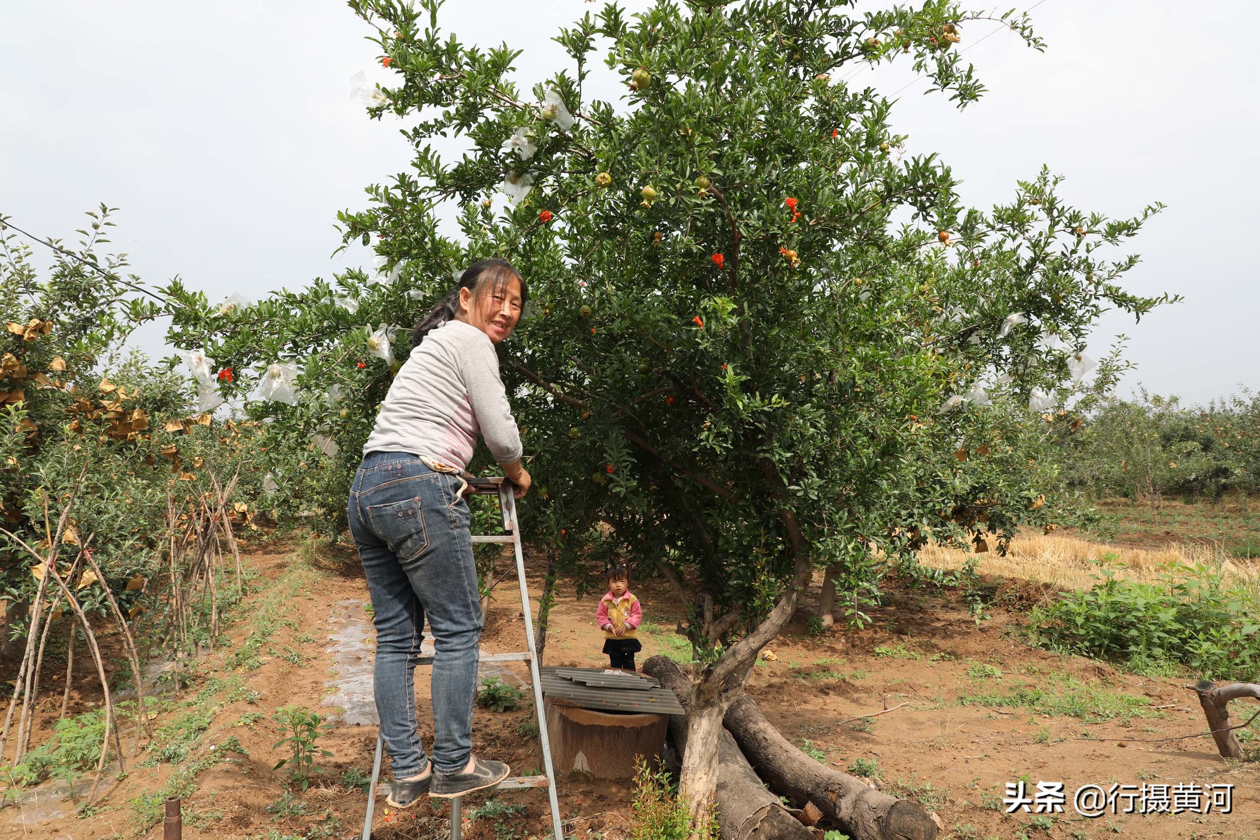 儿子娶个广东媳妇，生个女孩送回山西，看农村奶奶把孙女养成啥样