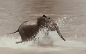 平价学生党彩妆批发,均价不到30的平价彩妆合集