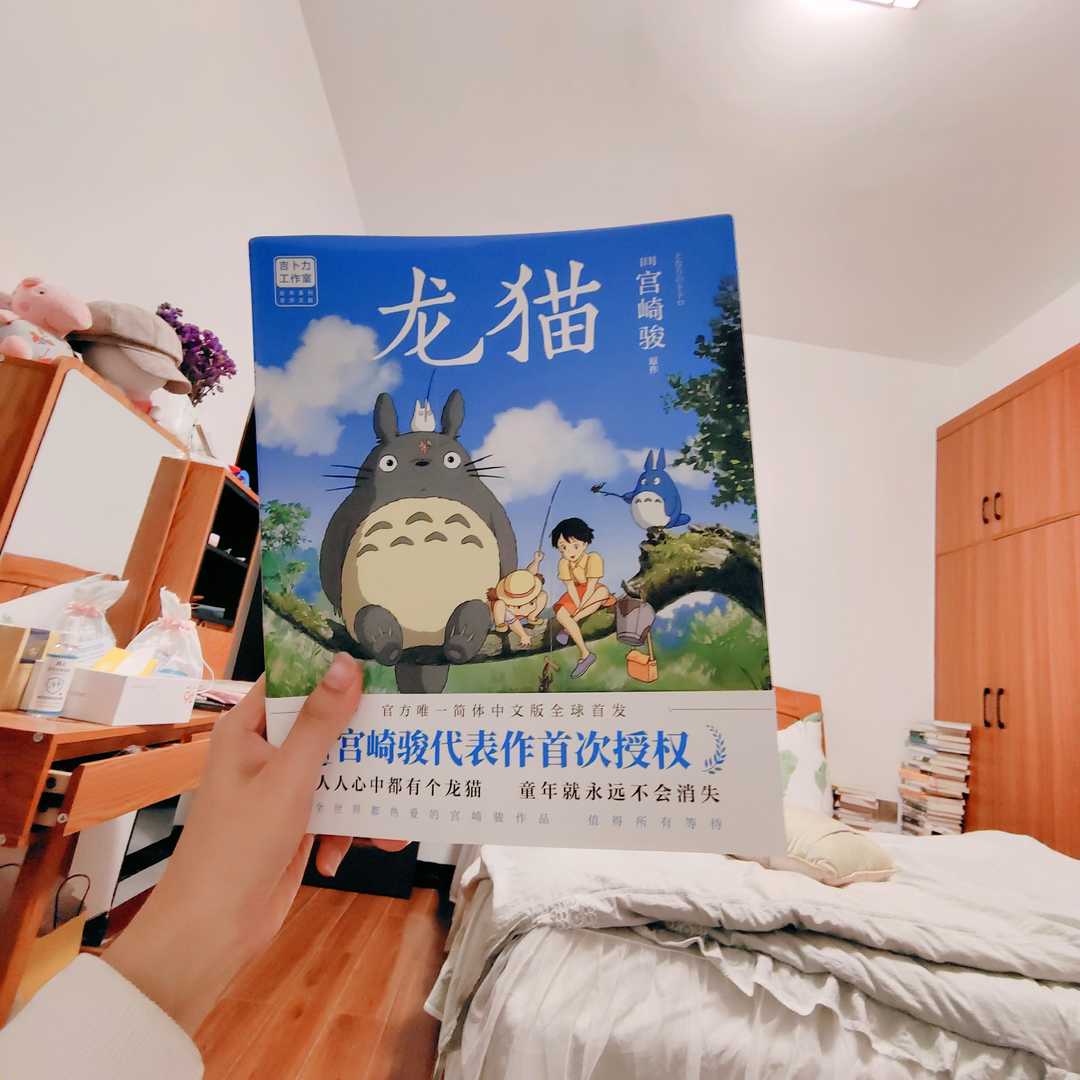 龙猫为何打动人,龙猫一蹦就下雨