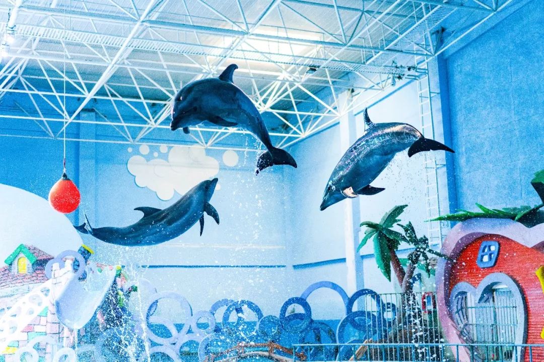 蓬莱美如画,蓬莱美景