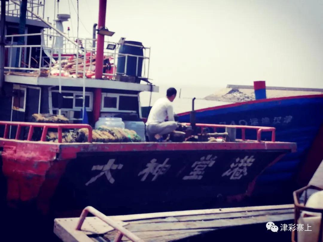 汉沽区大神堂改造好了吗,大神堂渔民