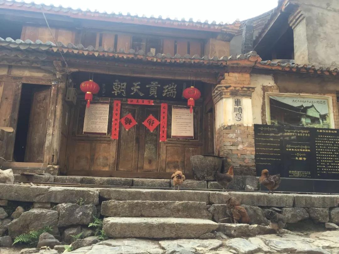 历代皇室贡茶,历代贡茶发展情况表格