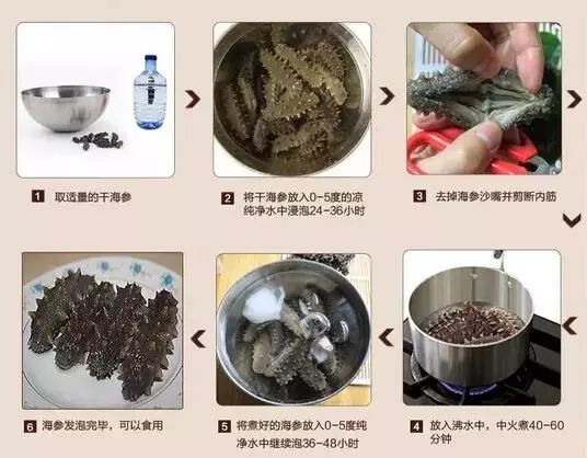 海参泡发冷冻注意事项,泡发后的海参怎么吃最有营养