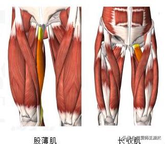 库里腹股沟拉伤,nba腹股沟拉伤最快几天能复出