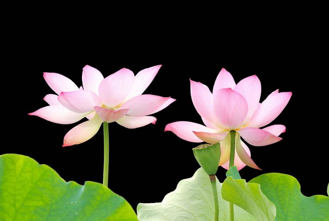 人到三十还没有成就,人到三十没钱忽然需要钱怎么办