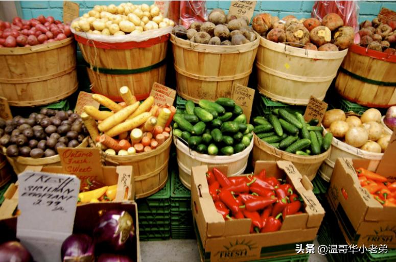 多伦多日常生活唠嗑,多伦多生活日常开销