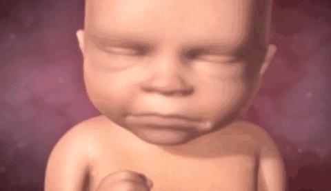 胎儿胎动最晚什么时候开始,正常胎儿胎动一般在什么位置