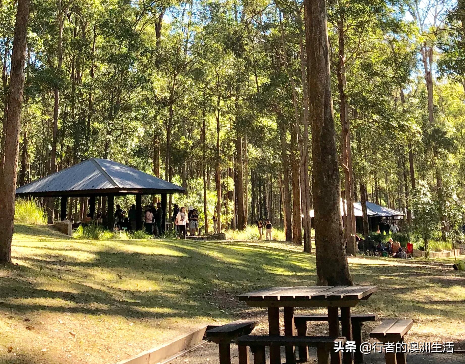 澳洲布里斯班的真实生活（2