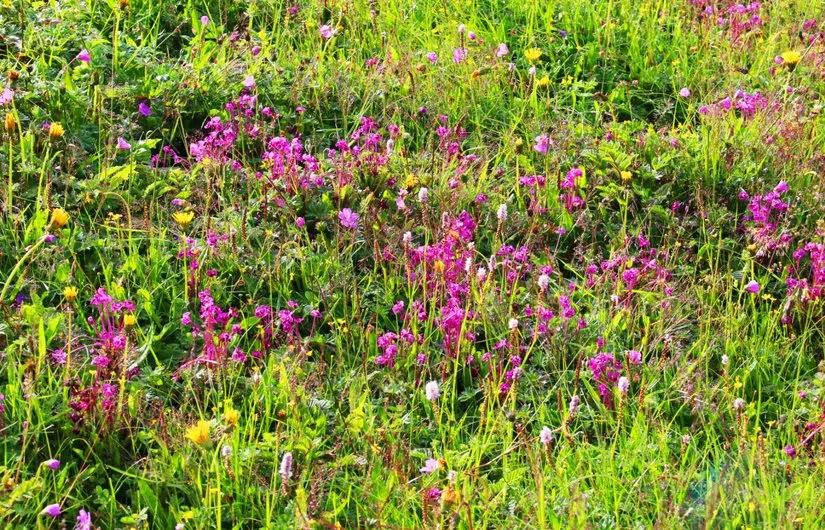 贡嘎山的徒步,贡嘎雪山大环线徒步游记