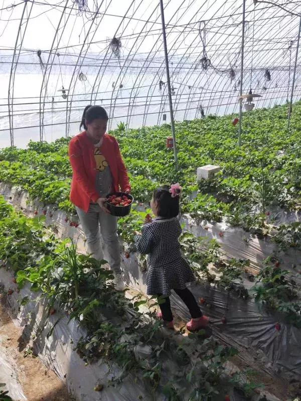 辽源东丰县五一游,辽源十一周边一日游的绝佳去处