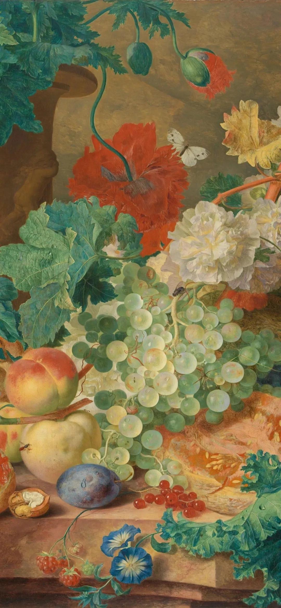 nba壁纸4k全面屏,宫崎骏壁纸超清全面屏