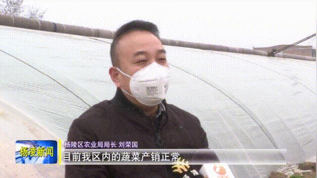 杨凌：农资农业恢复生产，生产一线也是战疫前线