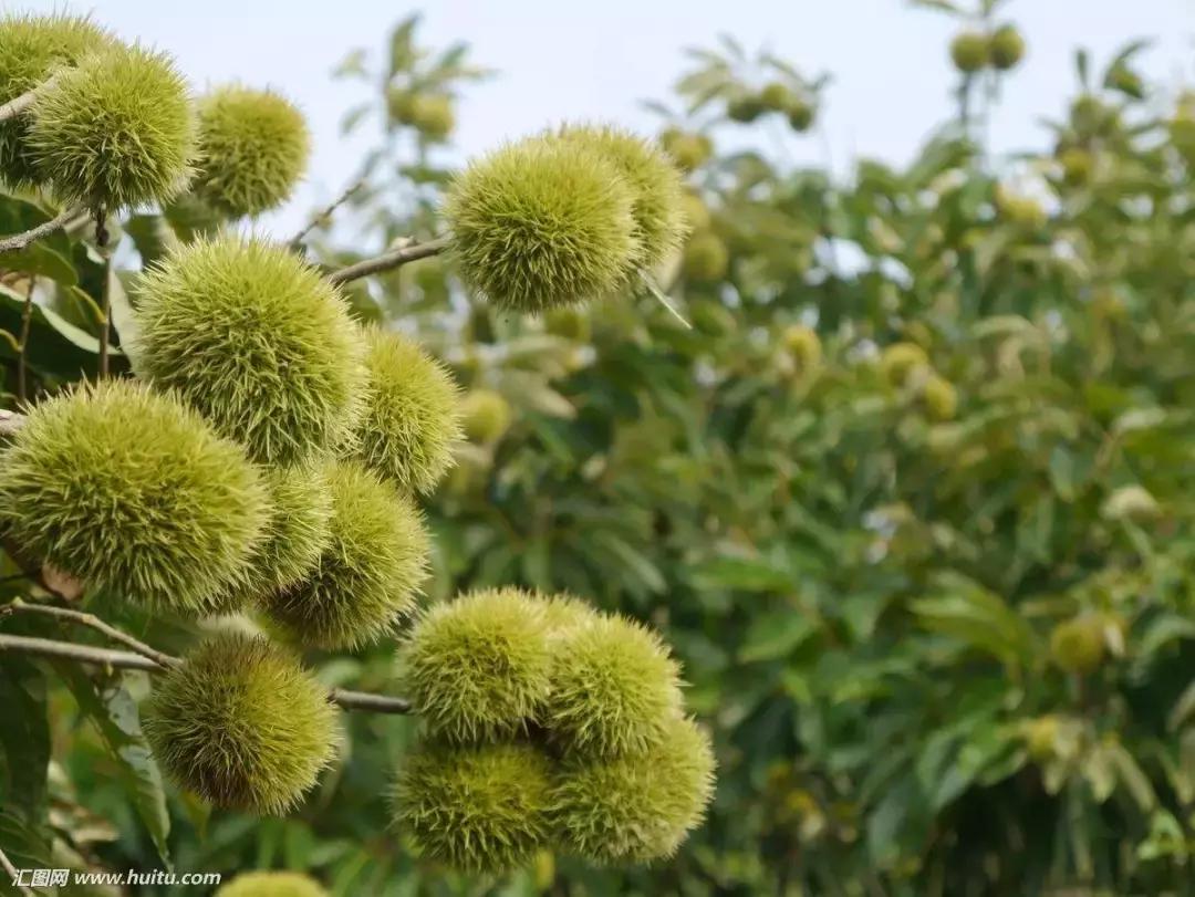 清明去哪儿玩|盘点那些值得打卡的北京周边小众景点！