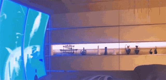 上海天安千树网红打卡点,上海打卡必去的地方排名