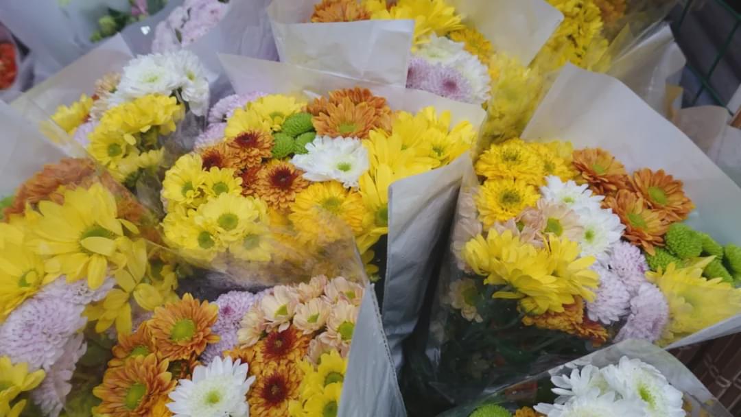 乌鲁木齐花市在哪里光明路附近,乌鲁木齐的花市在哪里