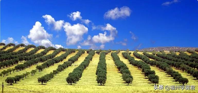 西班牙队的冷知识,西班牙冷知识