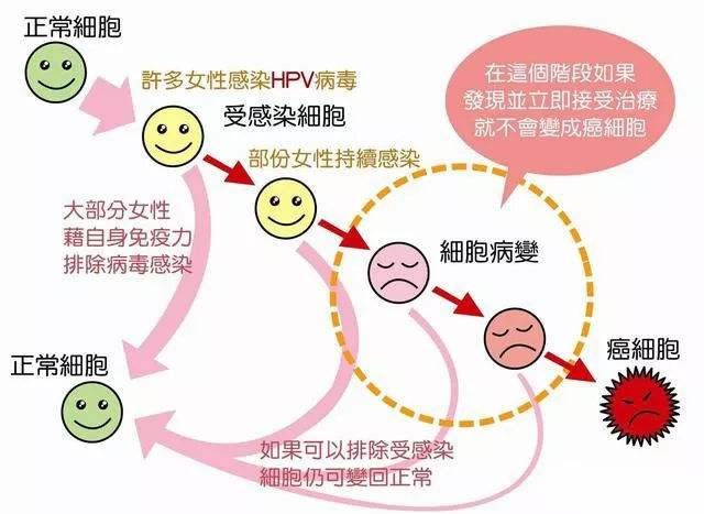 hpv16阳性算不算严重可以接吻吗,hpv16阳性算不算严重呢