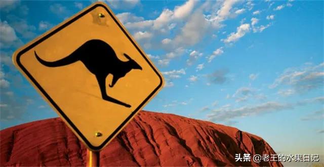 代购真实的现状,曝光海外代购圈中黑幕