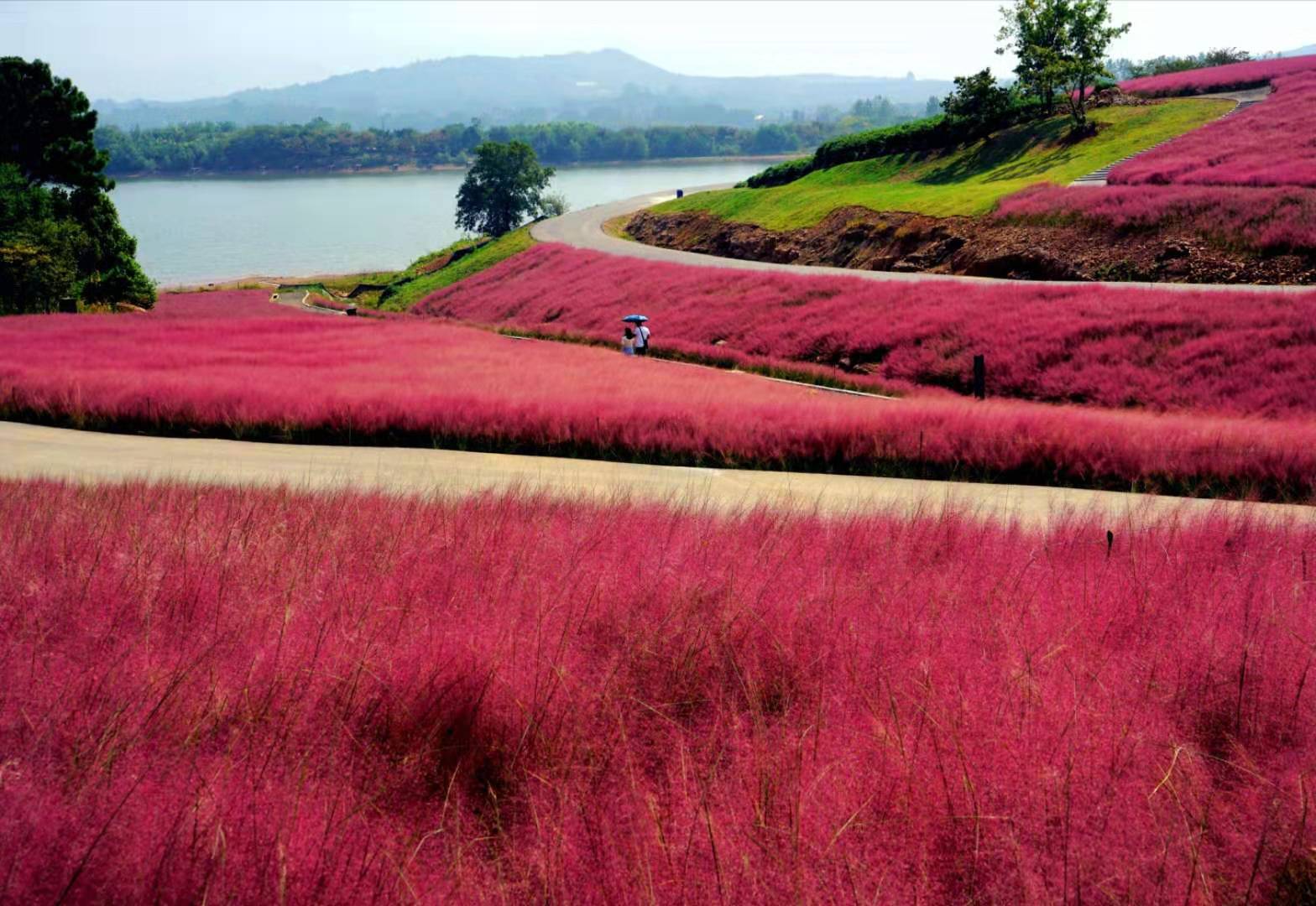 这些字你认识几个,这些字您认识几个