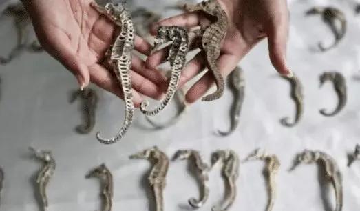 只为一串佛珠，他活剥了我妈的皮：人心有多可怕，你根本想象不到