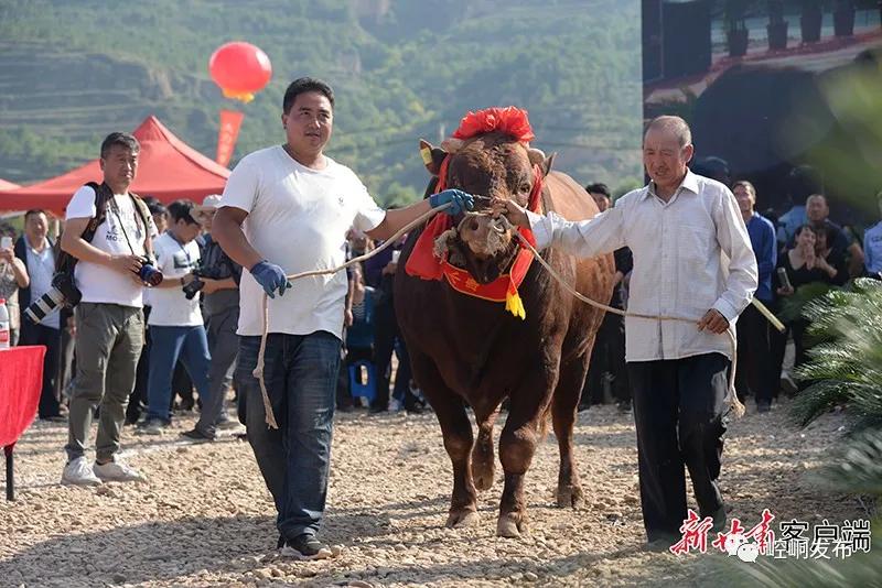 崆峒区今年计划实施重点项目227个,为崆峒区经济发展贡献力量
