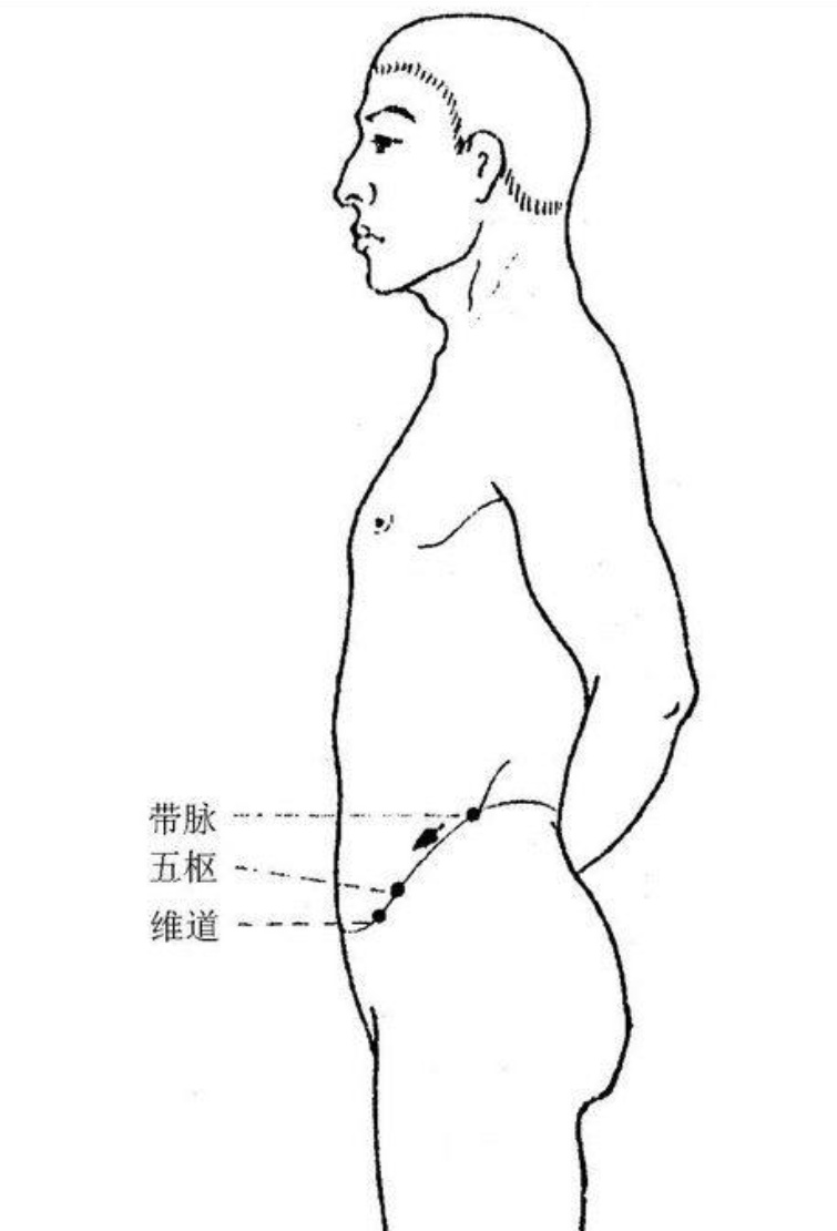 带脉的循行部位及基本功能,带脉和经络有什么区别