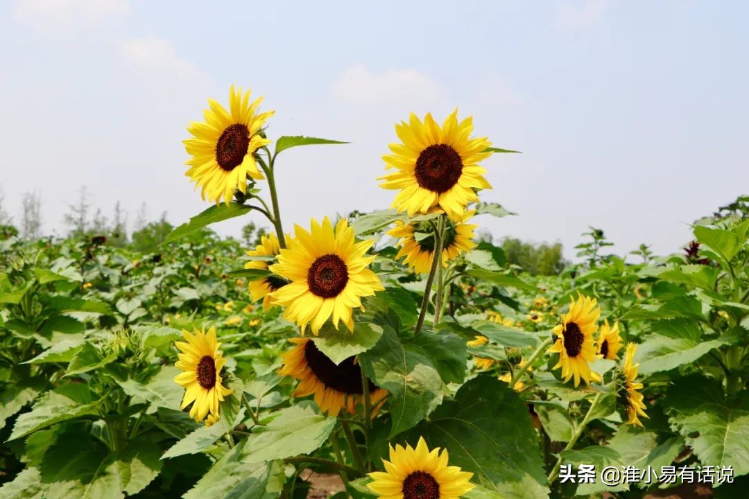 你想要的福利：快乐宝地，美丽倾心！这个便宜你占不占？