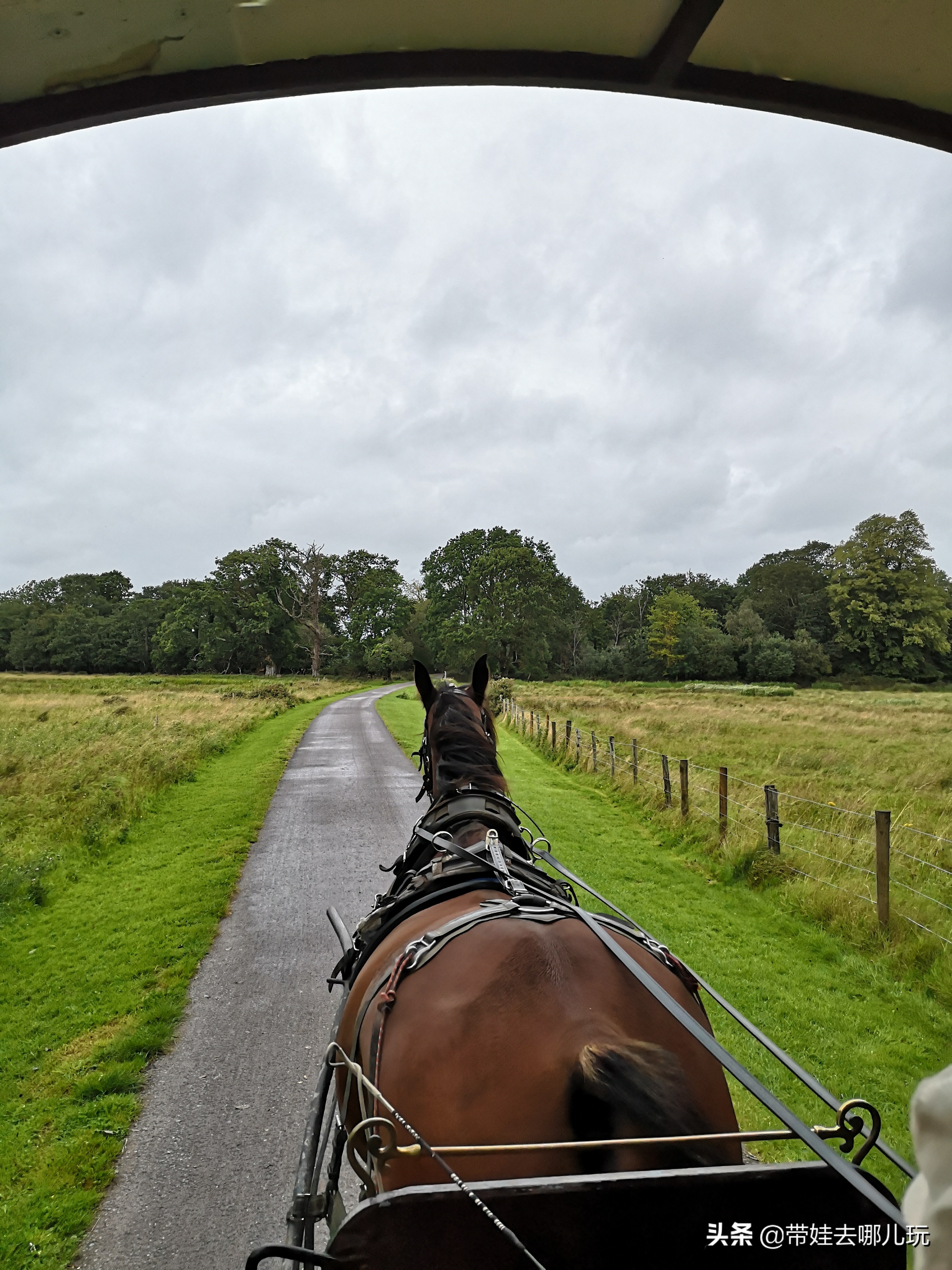 爱尔兰翡翠岛旅游景点,翡翠岛