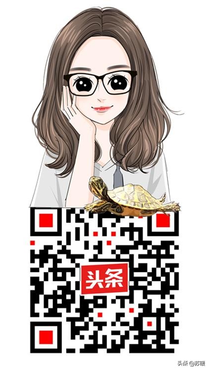 乌龟是怎么溺水的,什么是乌龟溺水