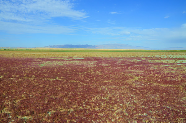 青甘大环线几月份去比较好,甘青大环线旅游跟团游旅行社报价